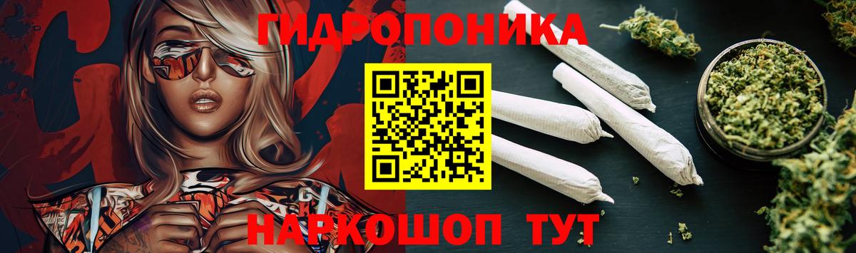 Конопля конопля Можга